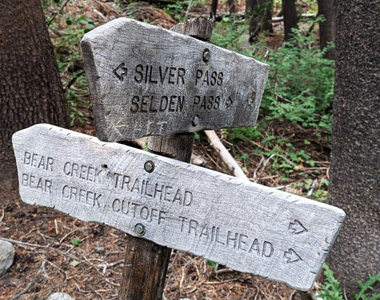 silver pass
